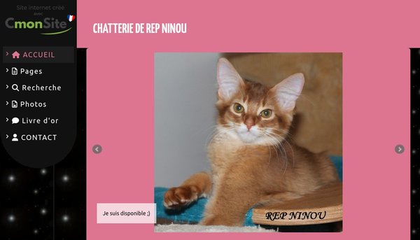 Site de birsomchat : CMonSite